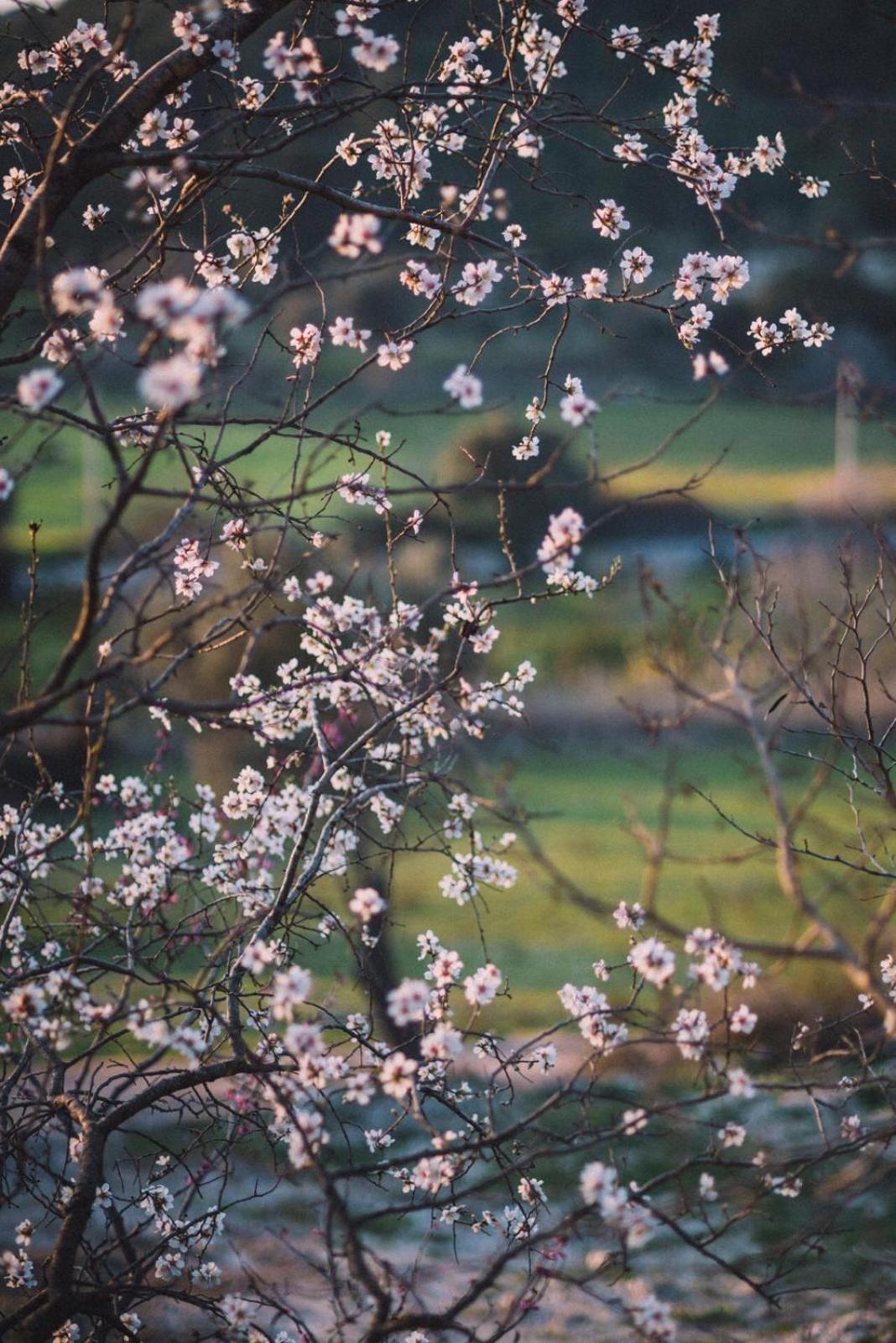 Od Urla Misafirhane ภายนอก รูปภาพ